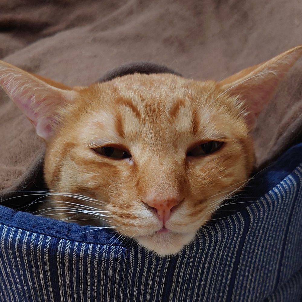 ひさねあきら