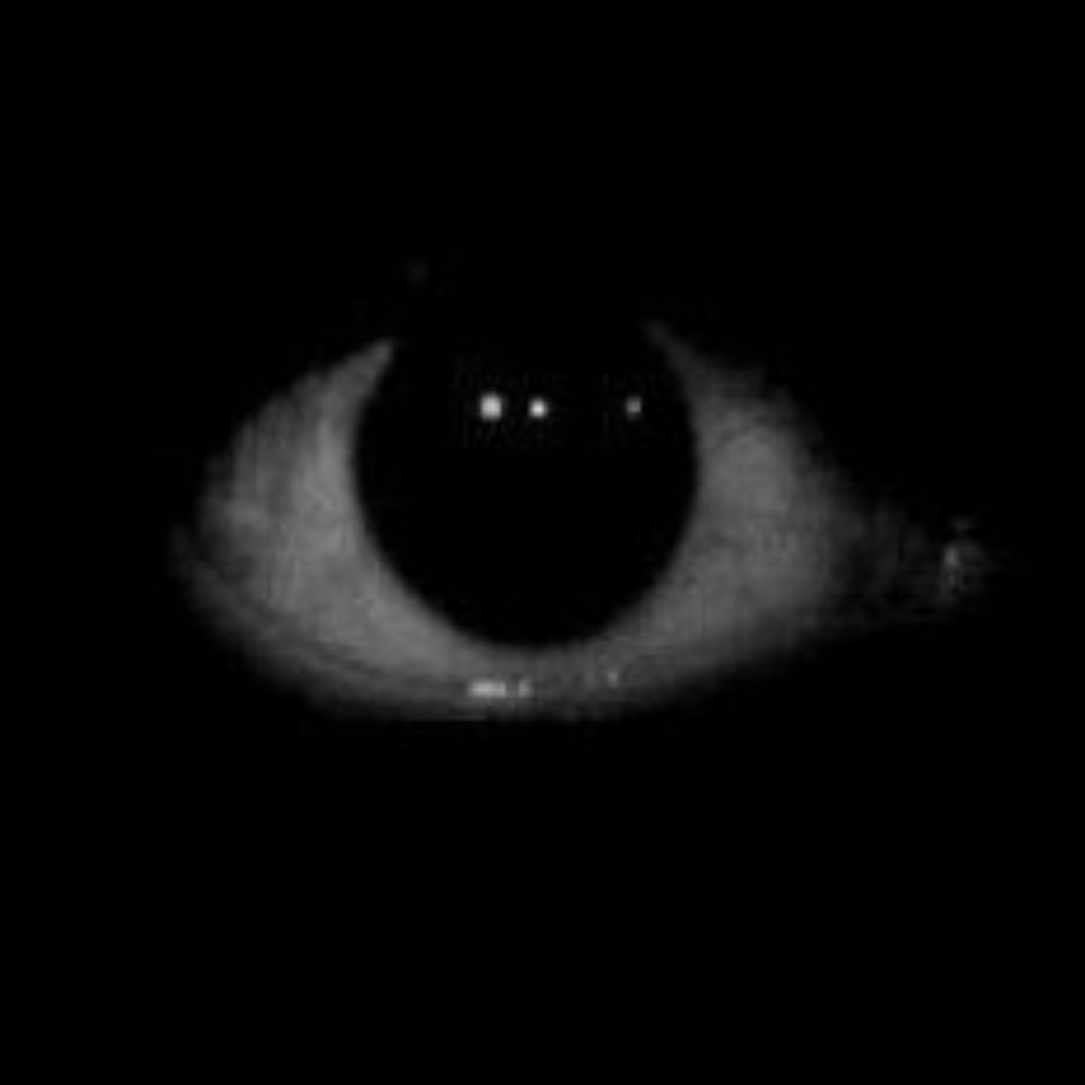 👁️