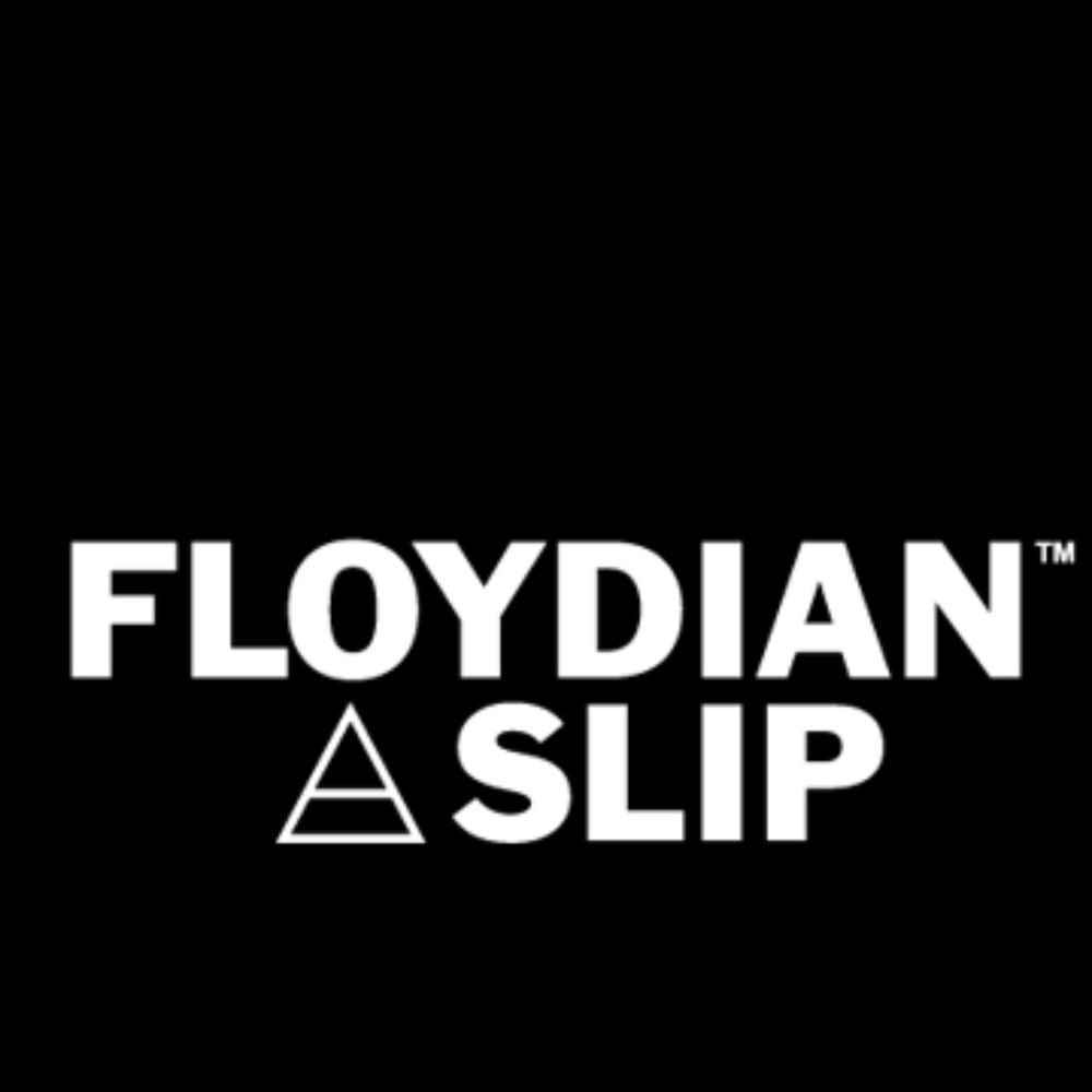 Floydian Slip