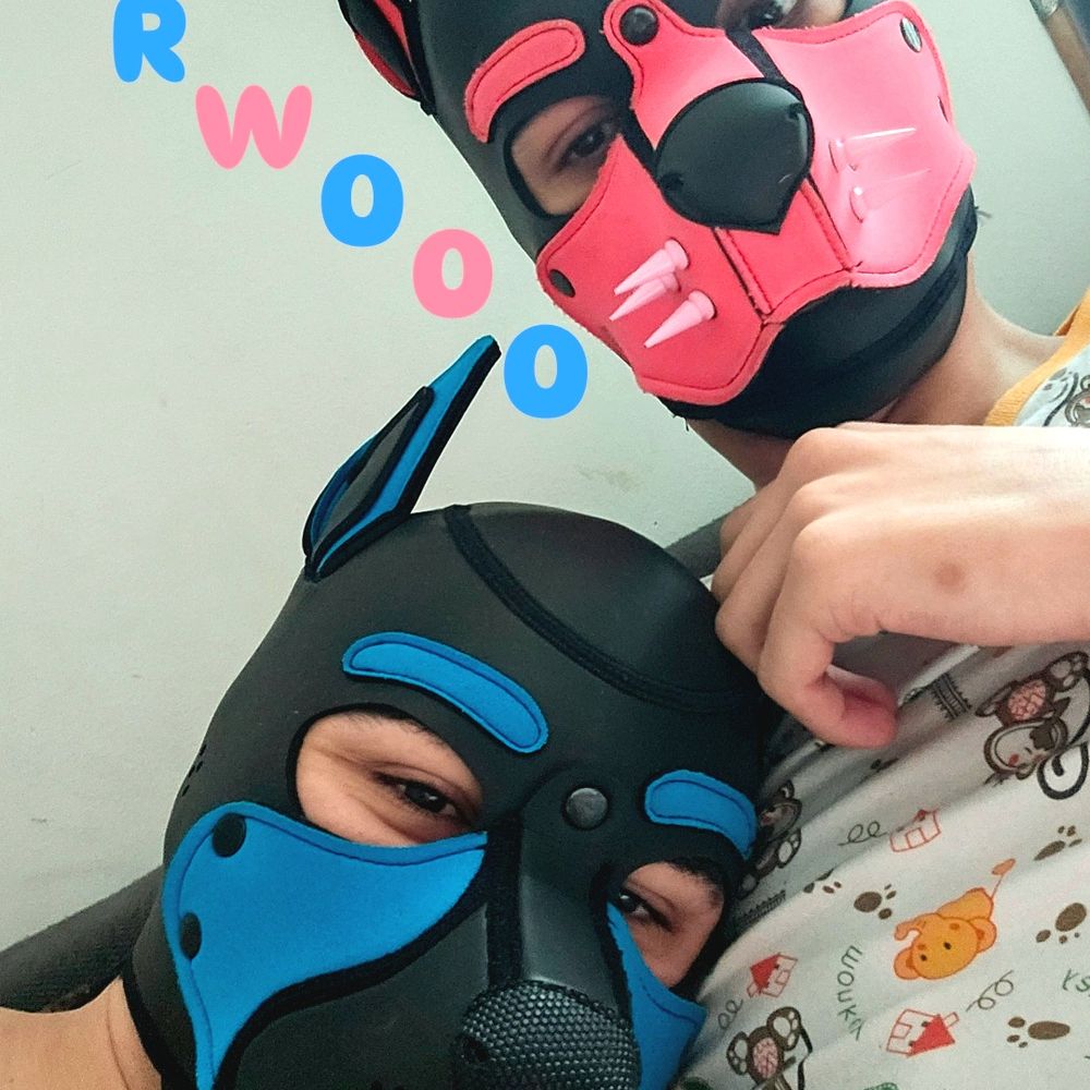 Pup_teaguel