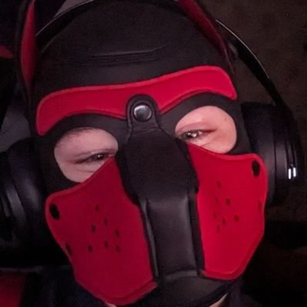 FinleyThePuppy