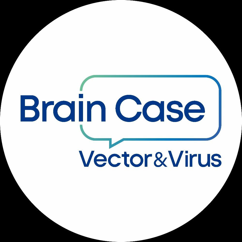Brain Case