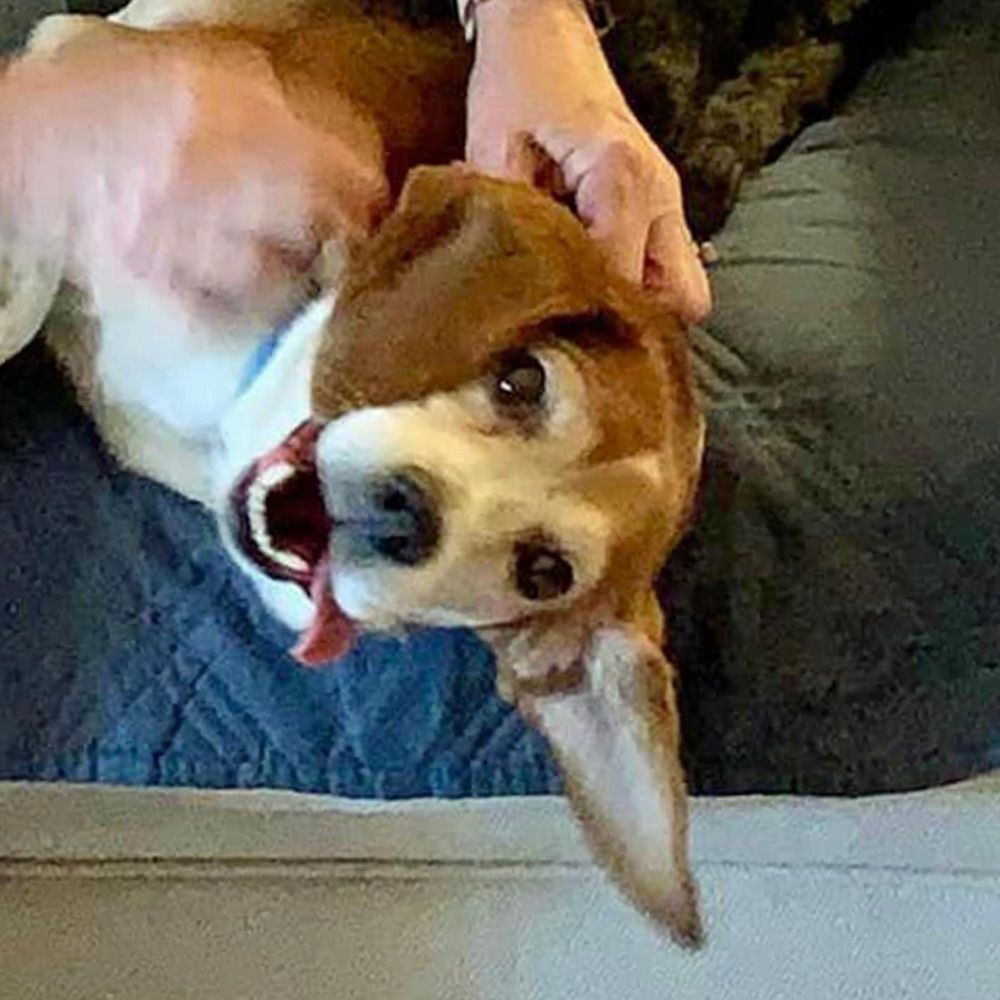 Charlie Ross