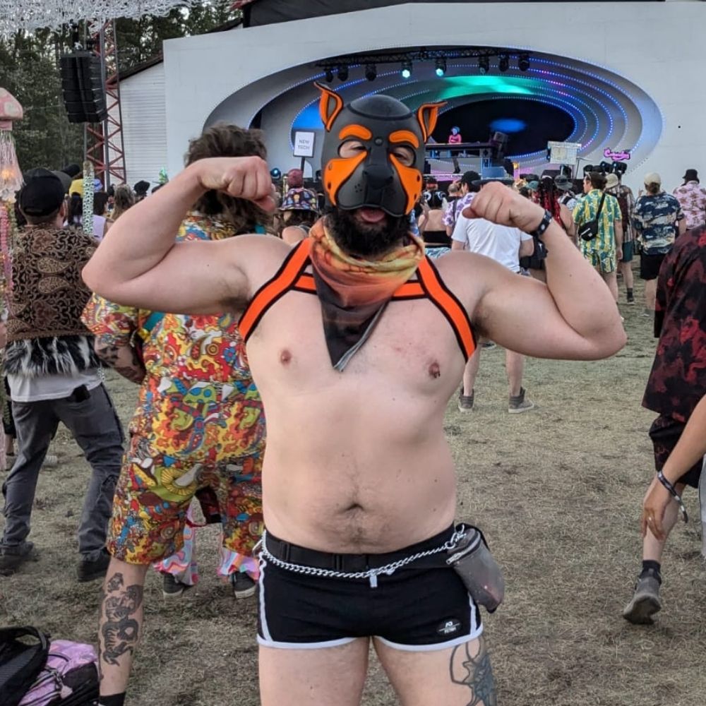 PupTimber