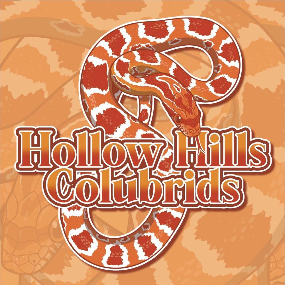 Beth - Hollow Hills Shepherds