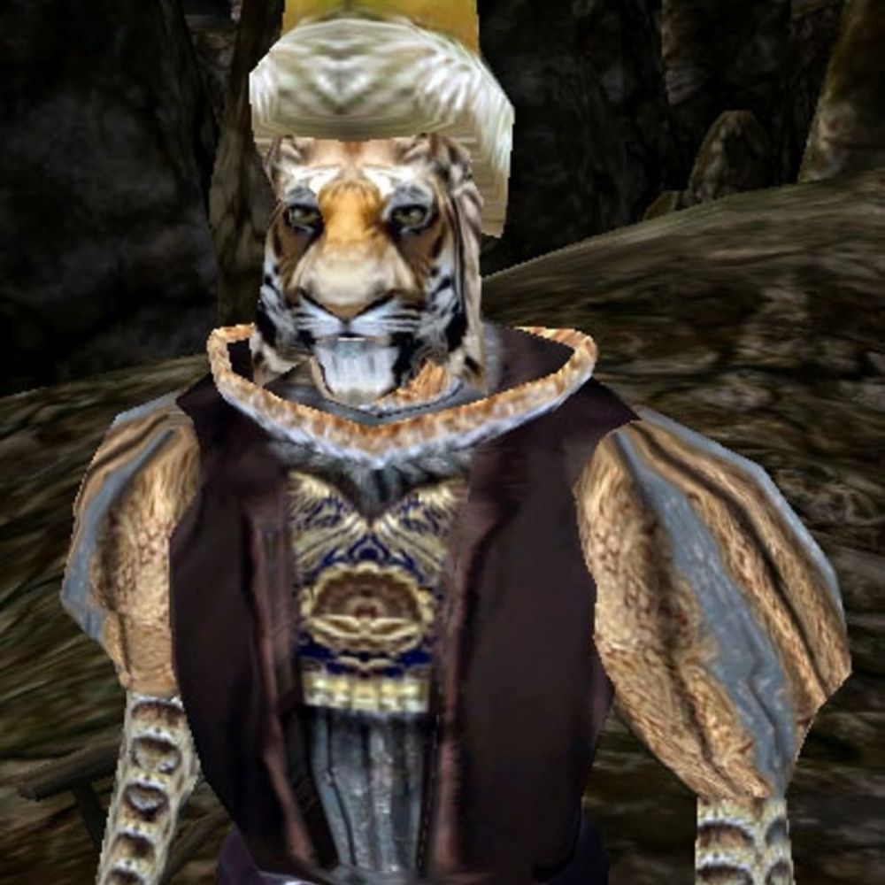 Skooma Kat