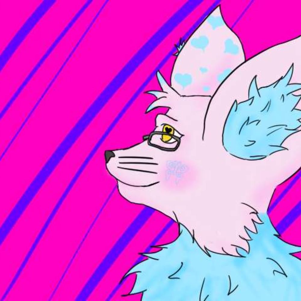 Mally The Fennec Fox