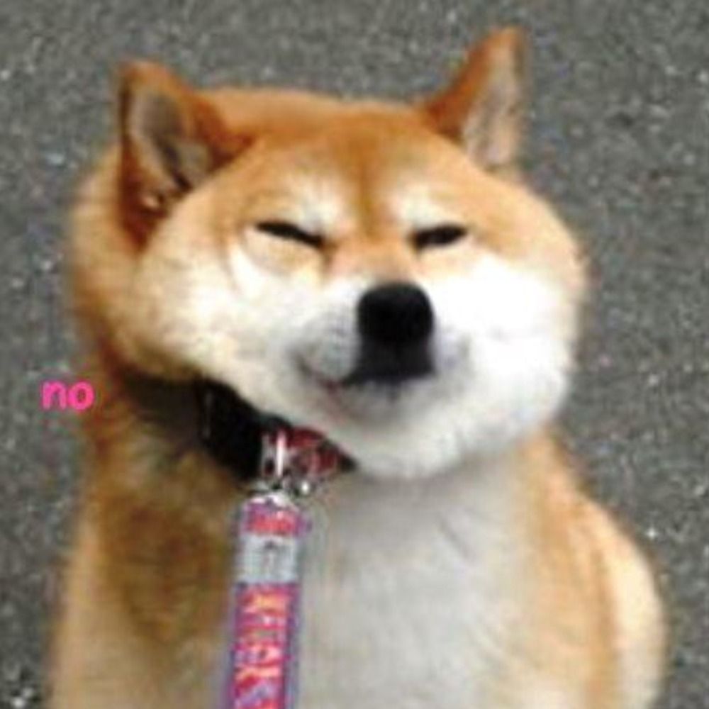 PY7H0N