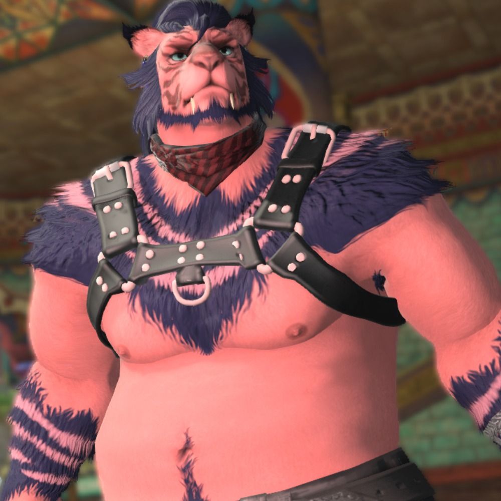 Fat Cat Orik