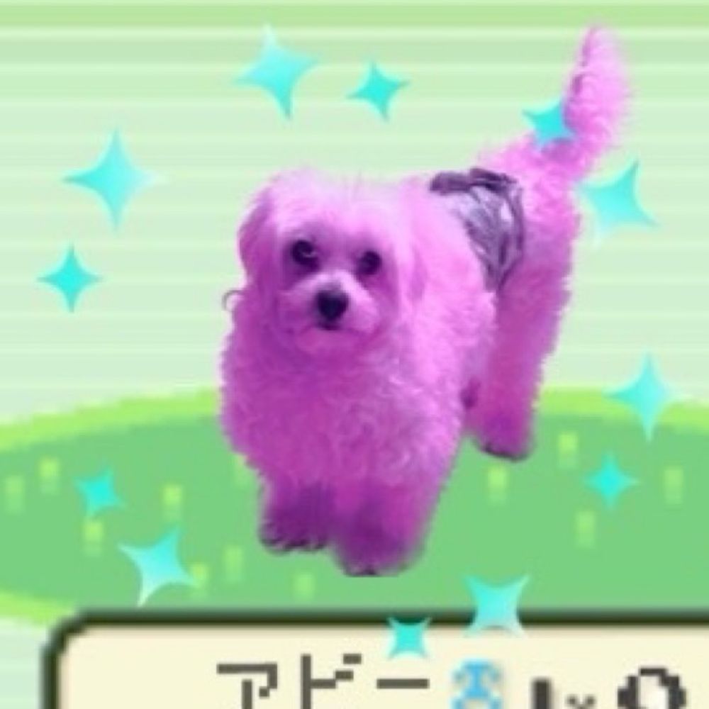 Ddog@モンスト