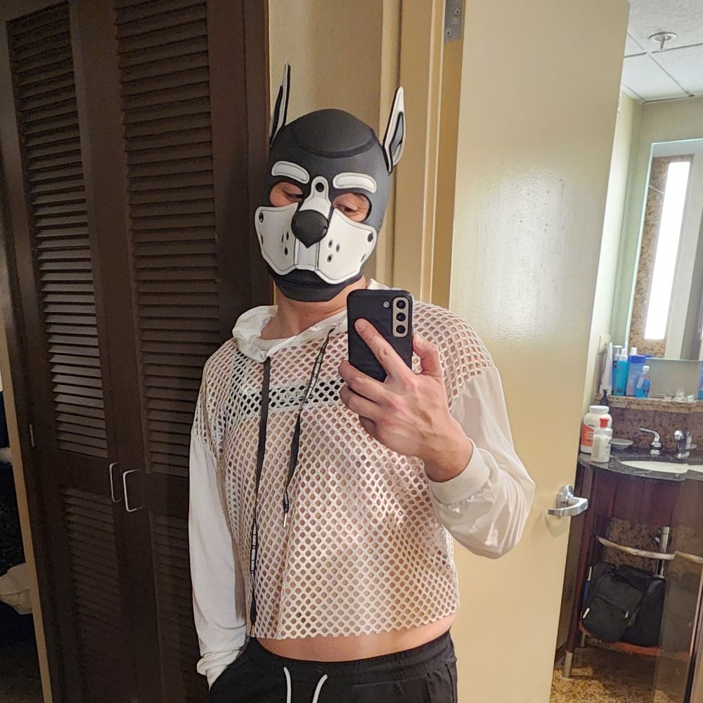 Shin 🐰