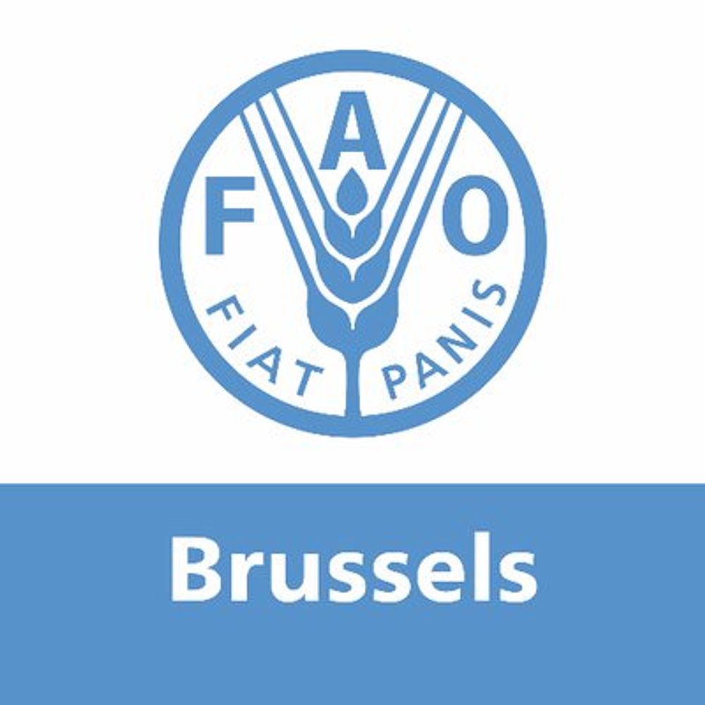 FAO Liaison Office in Brussels