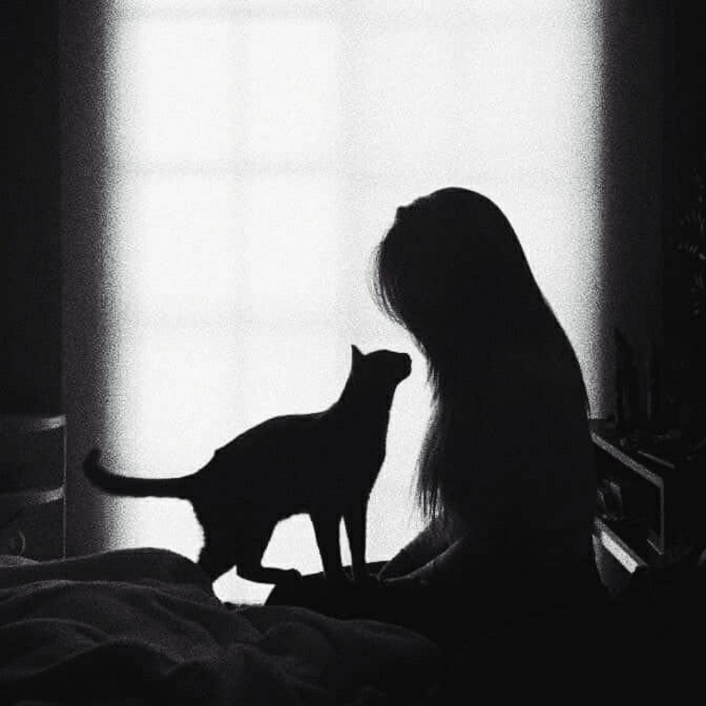 cerejinha99.bsky.social