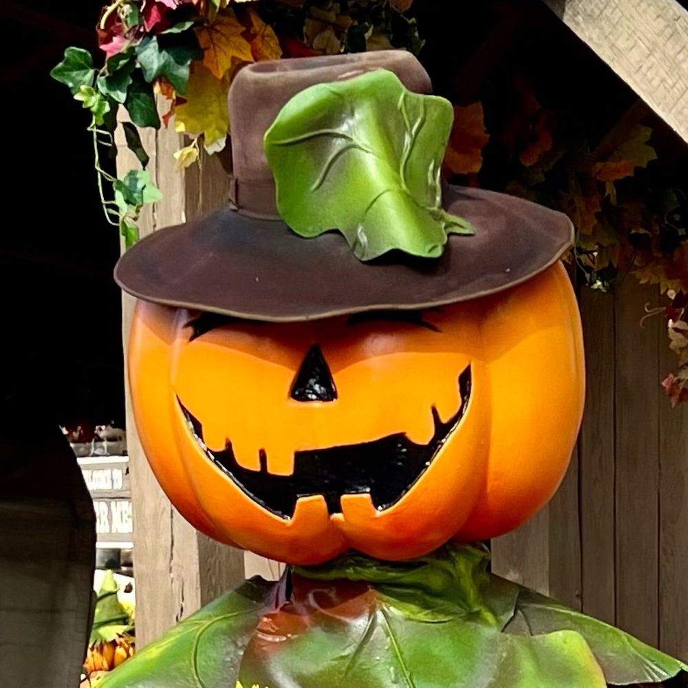 🎃 Tod Ivanov 🎃