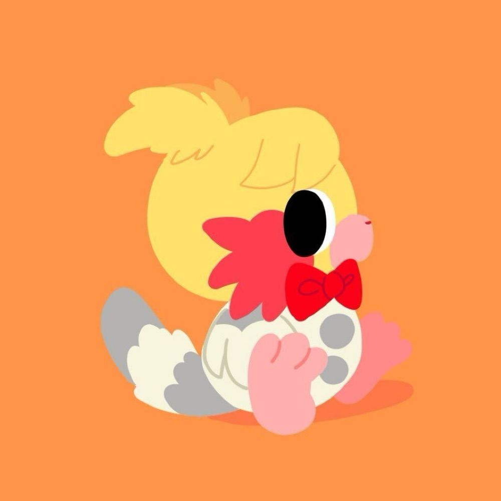 NiiPiPi🐣
