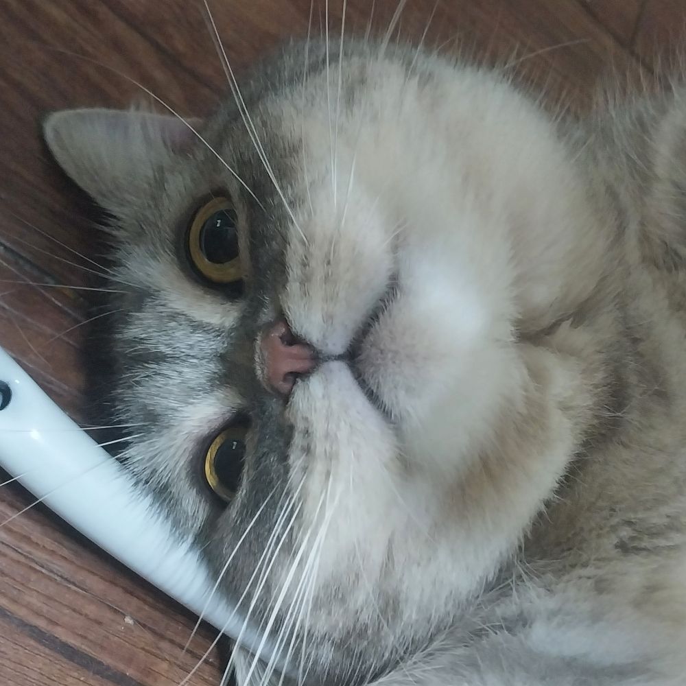 마빌