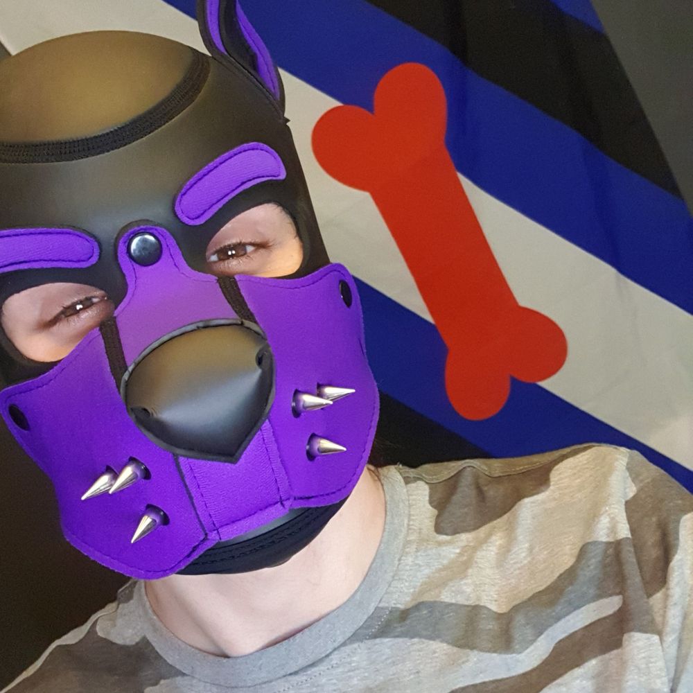 PupDamien 