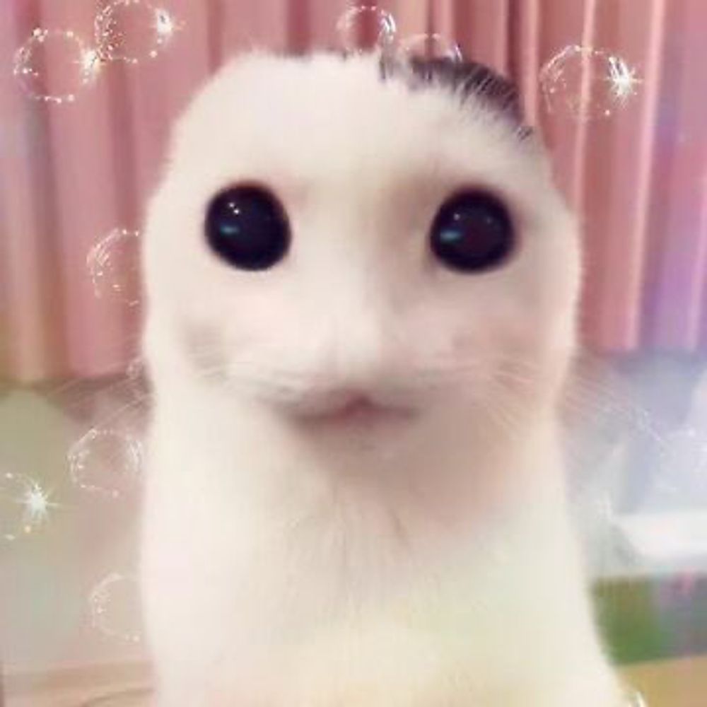 niky ✩