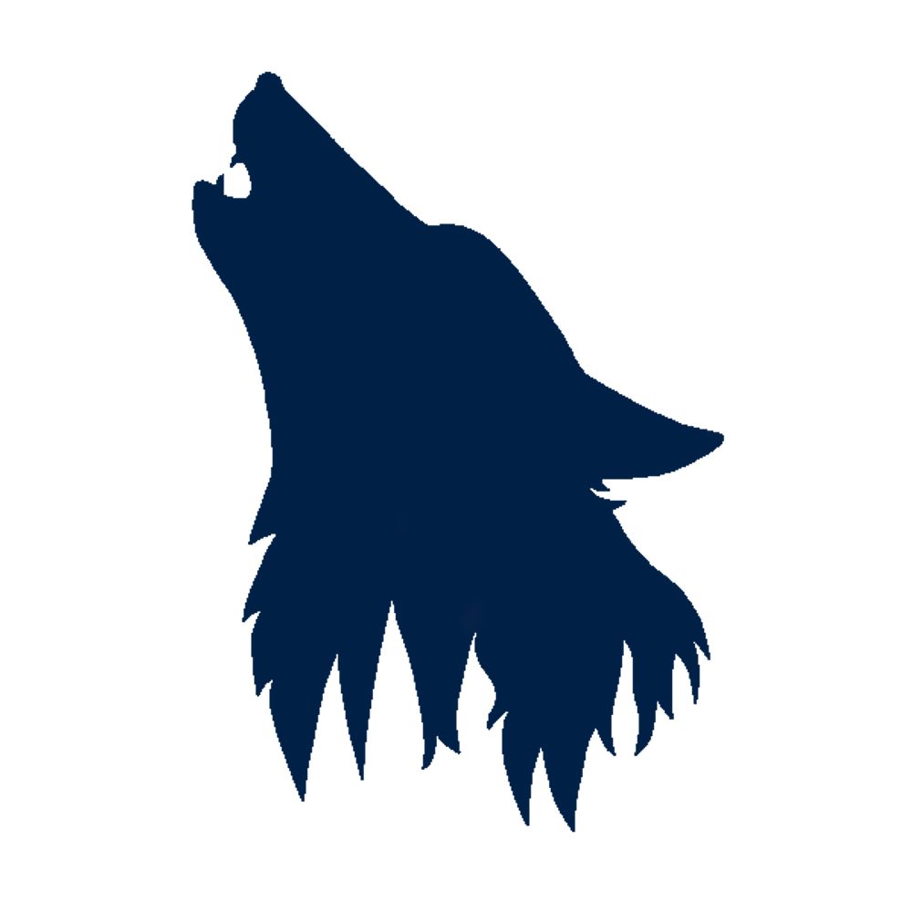 Lupine Development & Consulting