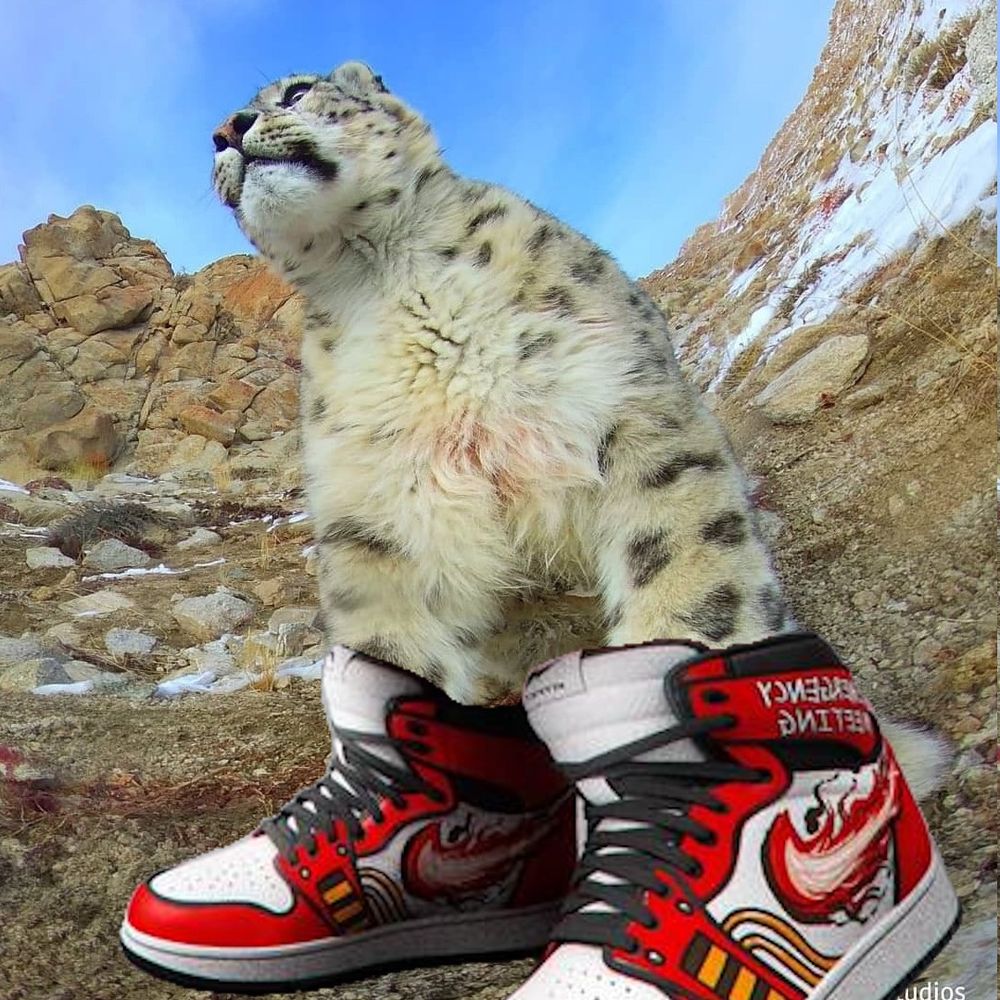 sootgriffin