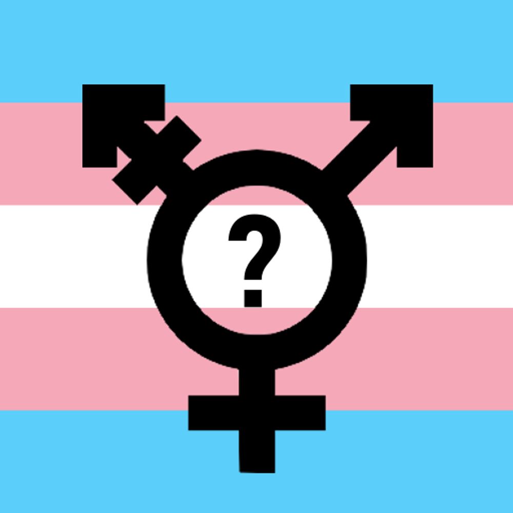 Transgender Questions