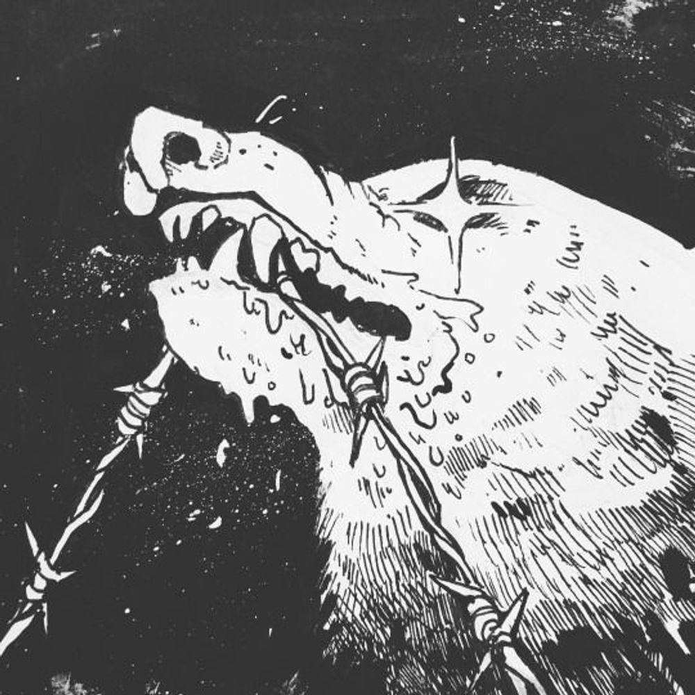 💀 Ty 💀