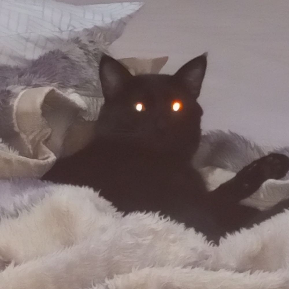 Zabela