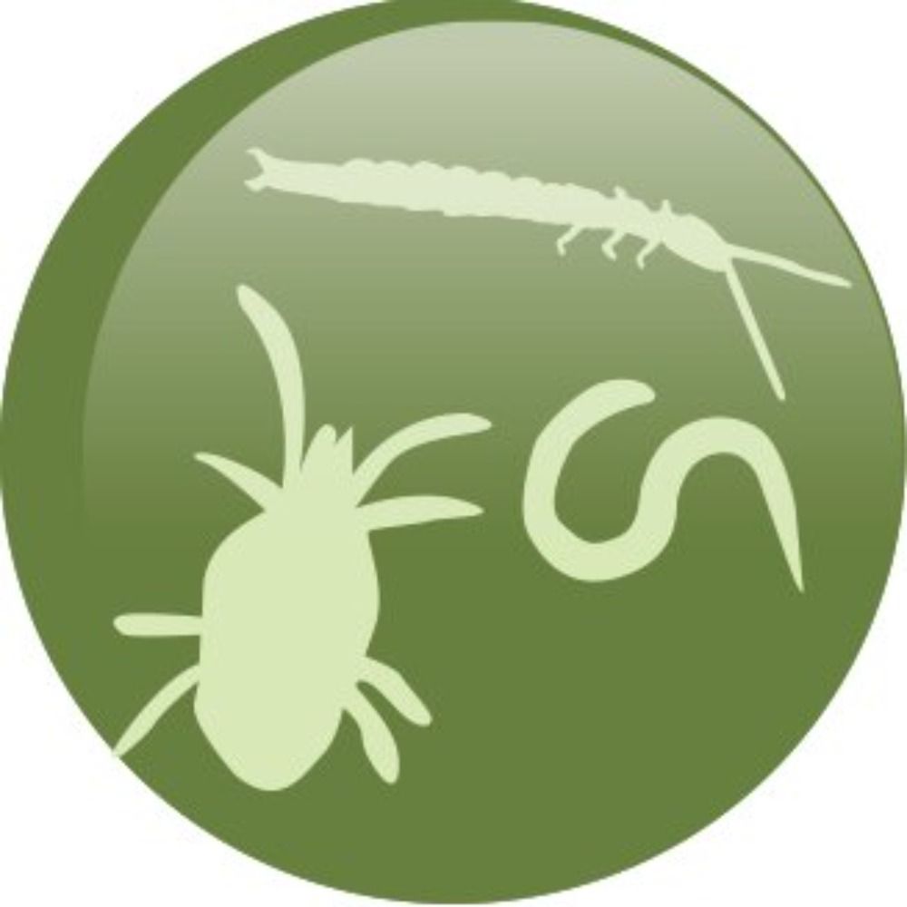 The Global Soil Biodiversity Initiative