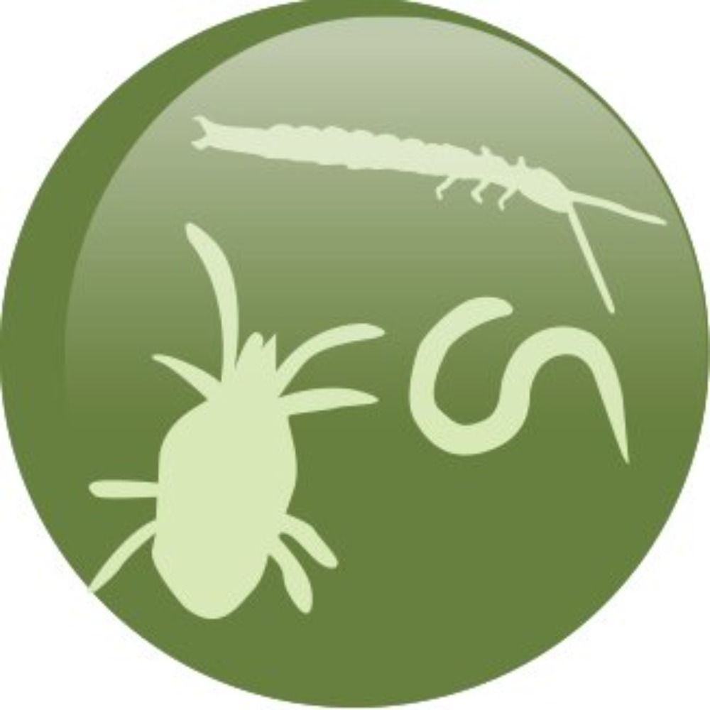 The Global Soil Biodiversity Initiative's avatar