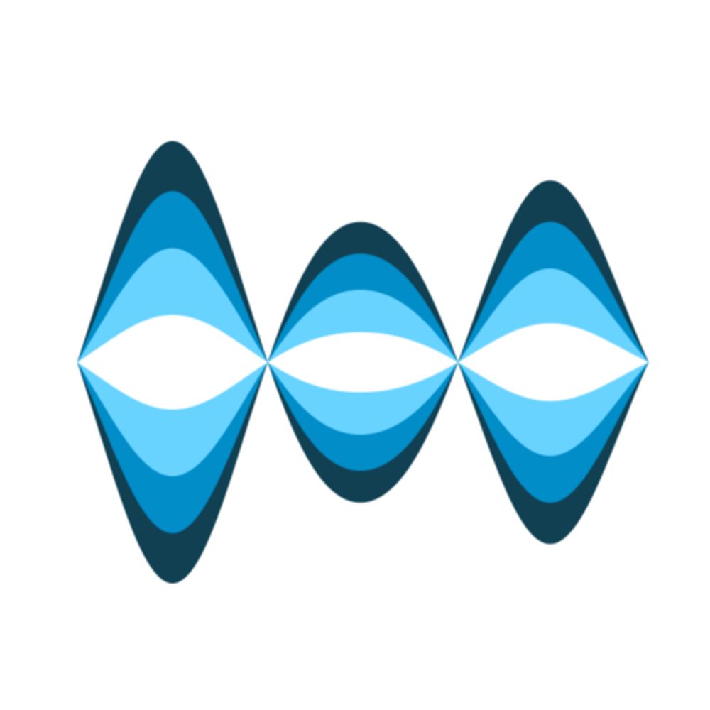 Heavy Ion Accelerators