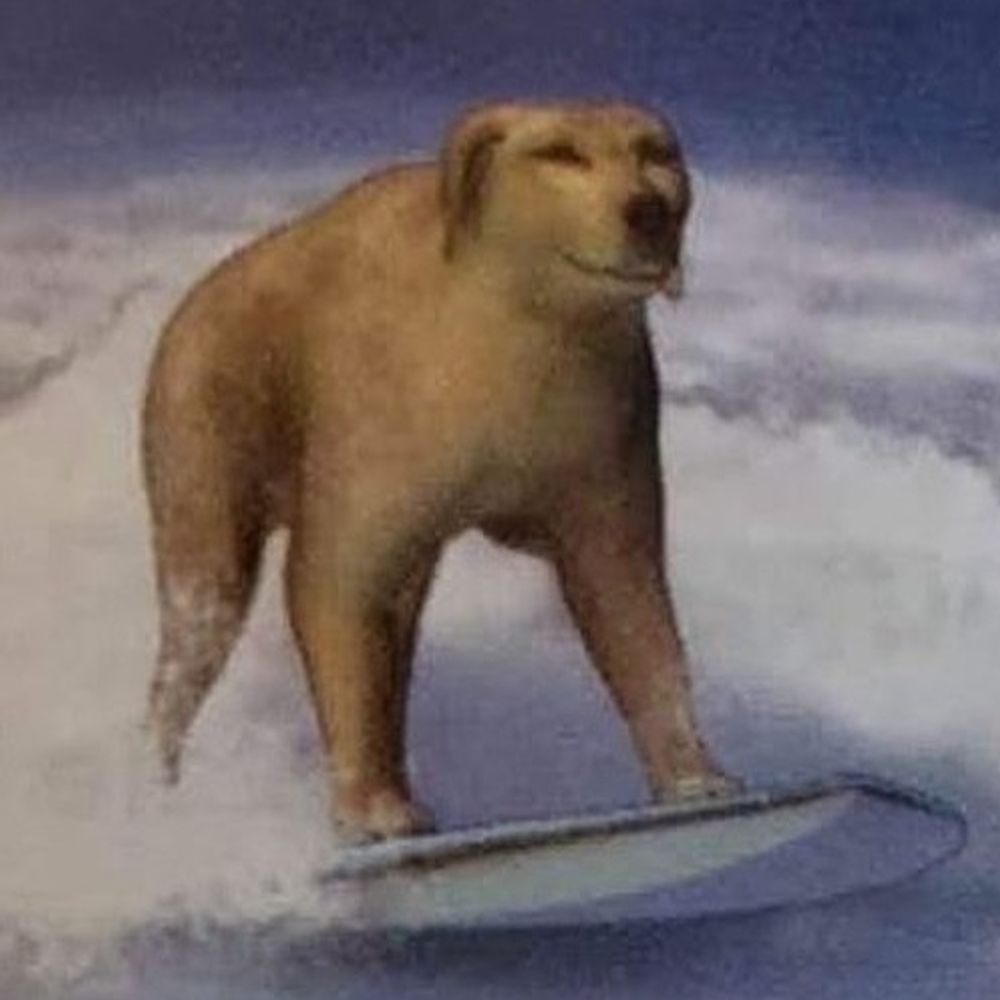 Nico puppypetter666