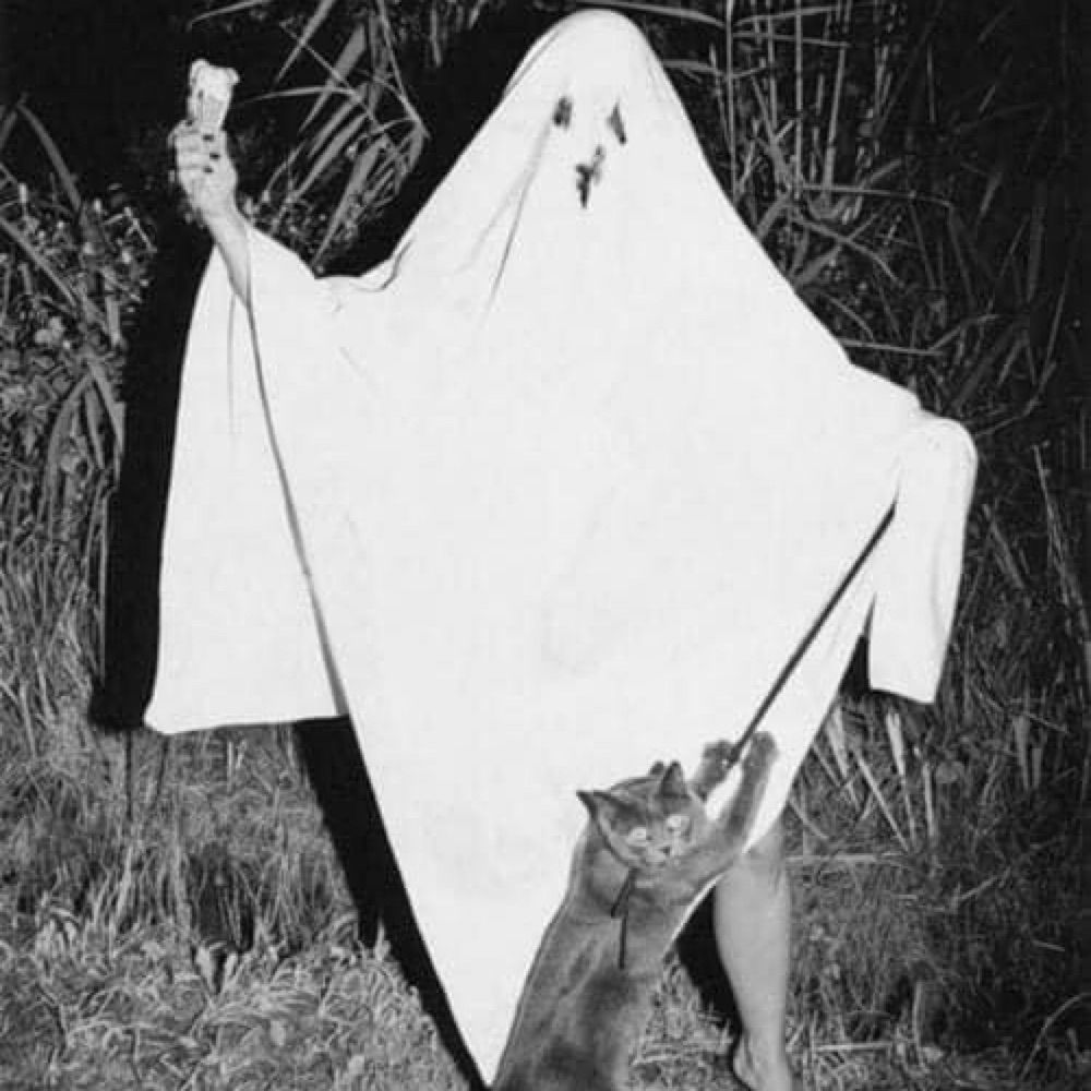 Bunny Ehlers