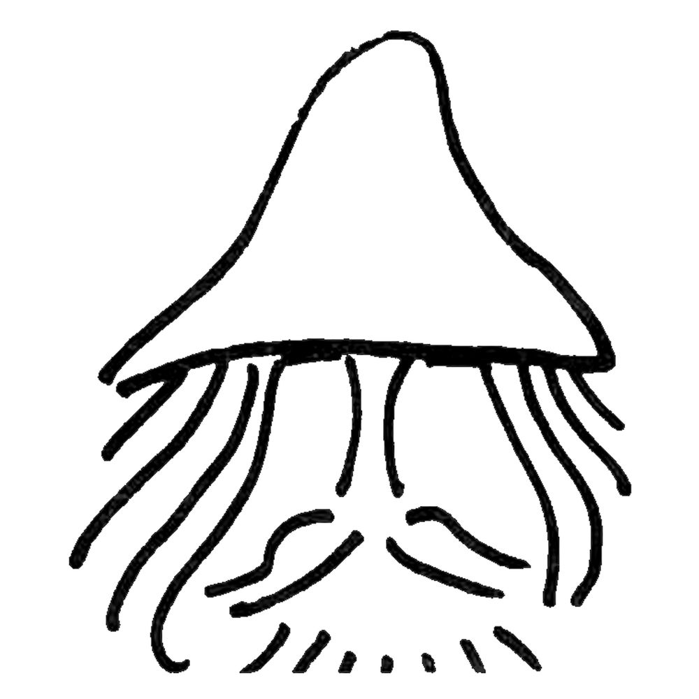 Cédille