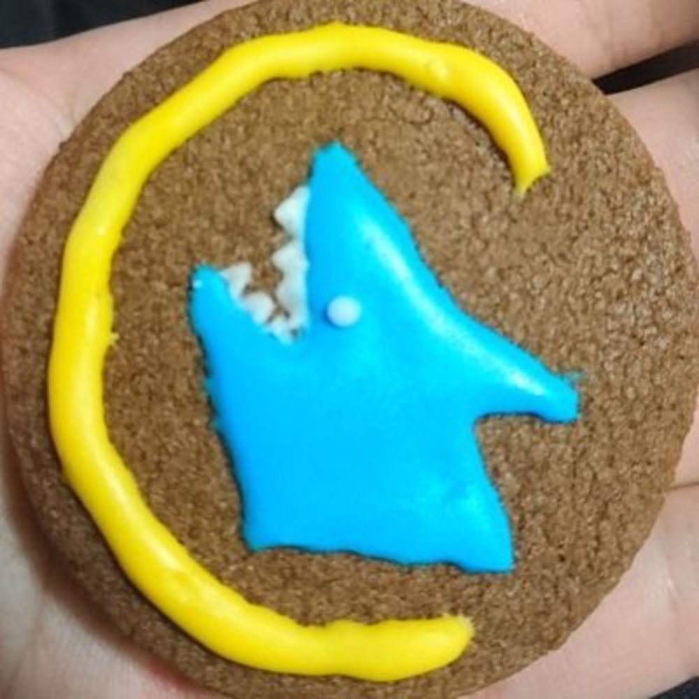 さめし