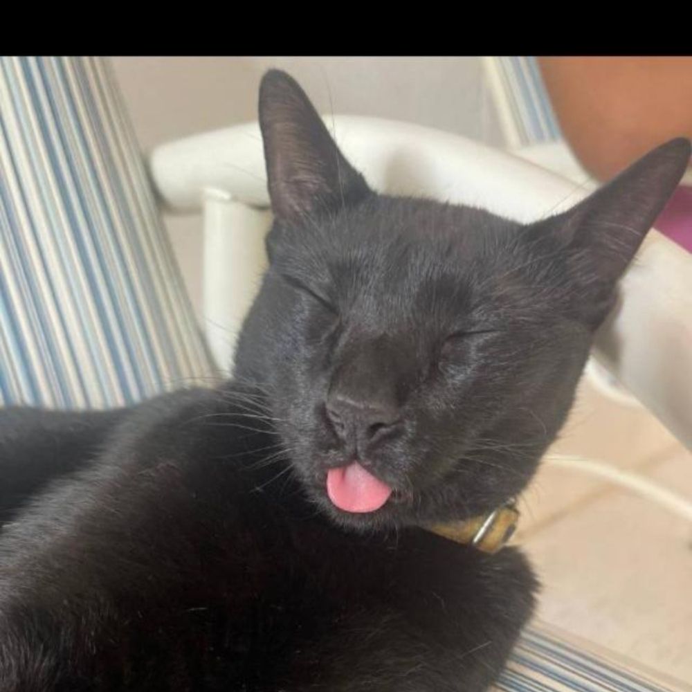 Sam