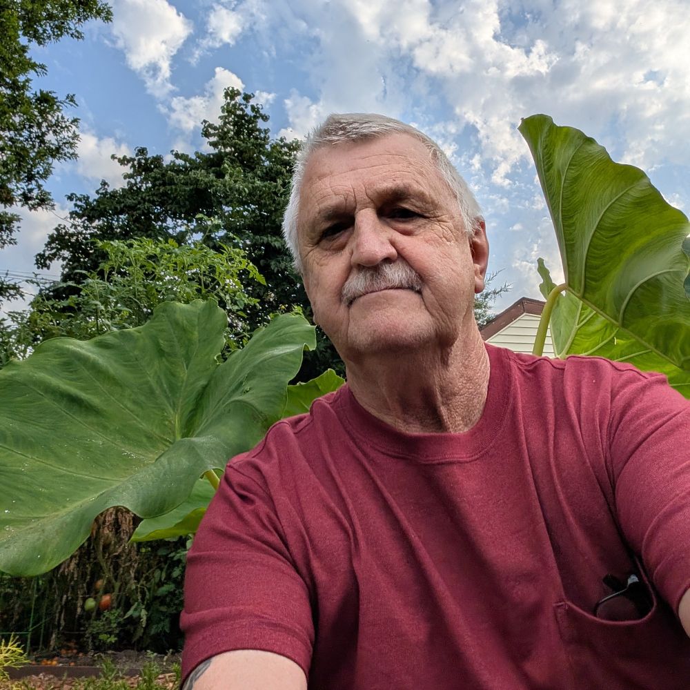 tom2853.bsky.social profile picture