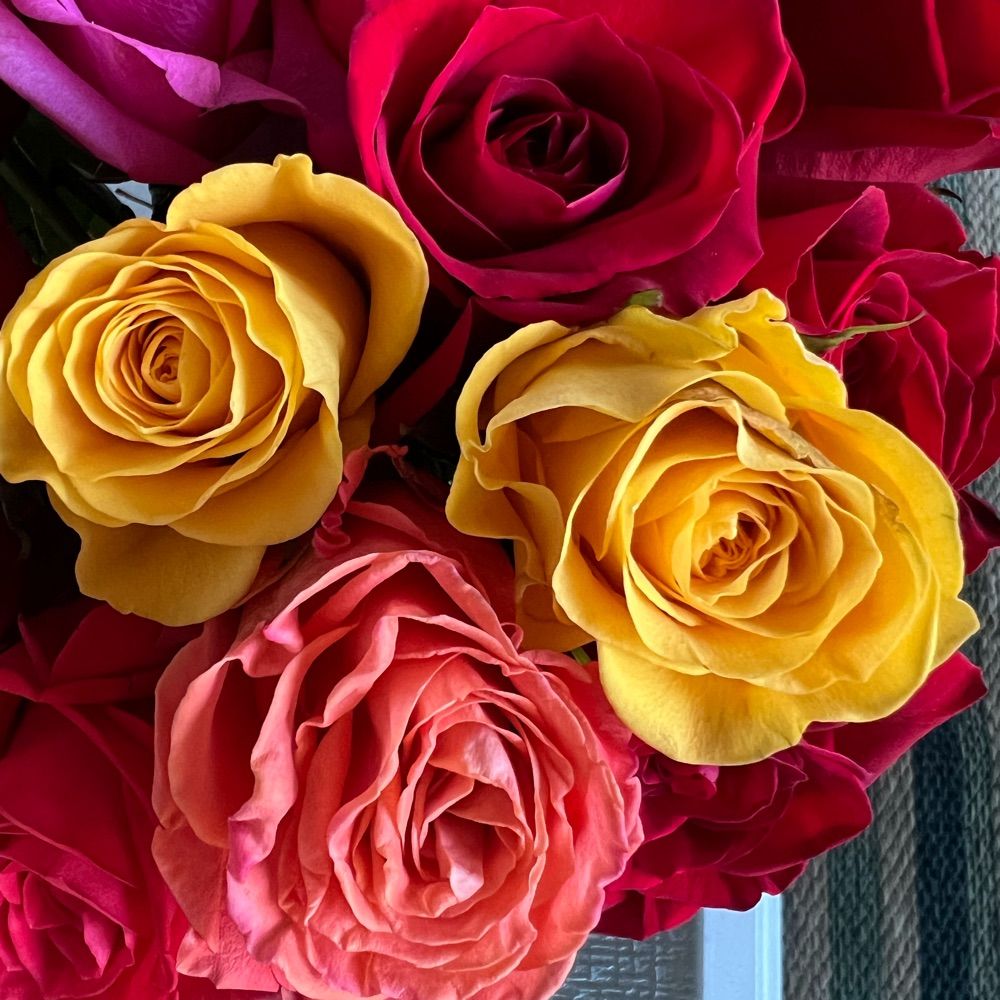 Rosesea