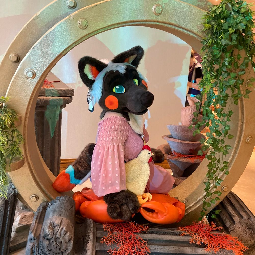 Clementine 🍊 is missing CFZ