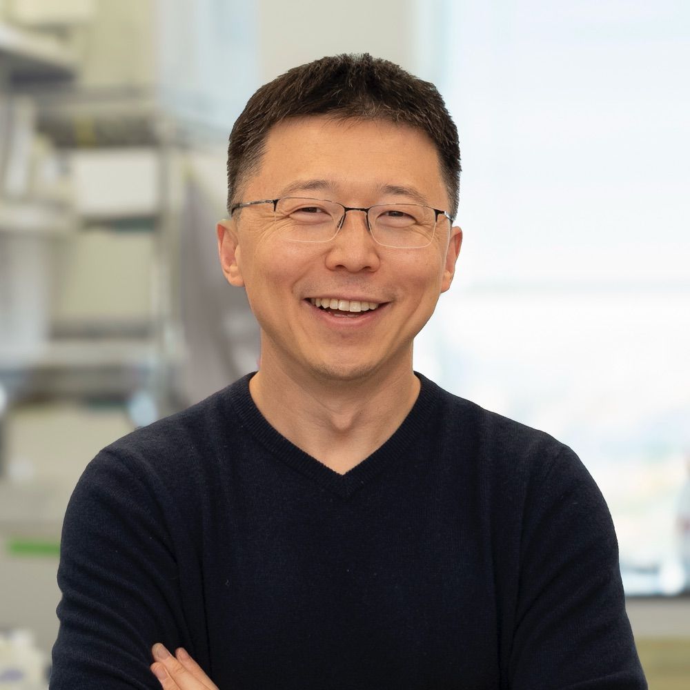 Feng Zhang