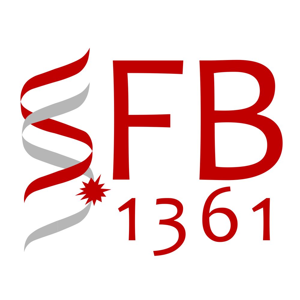 SFB1361