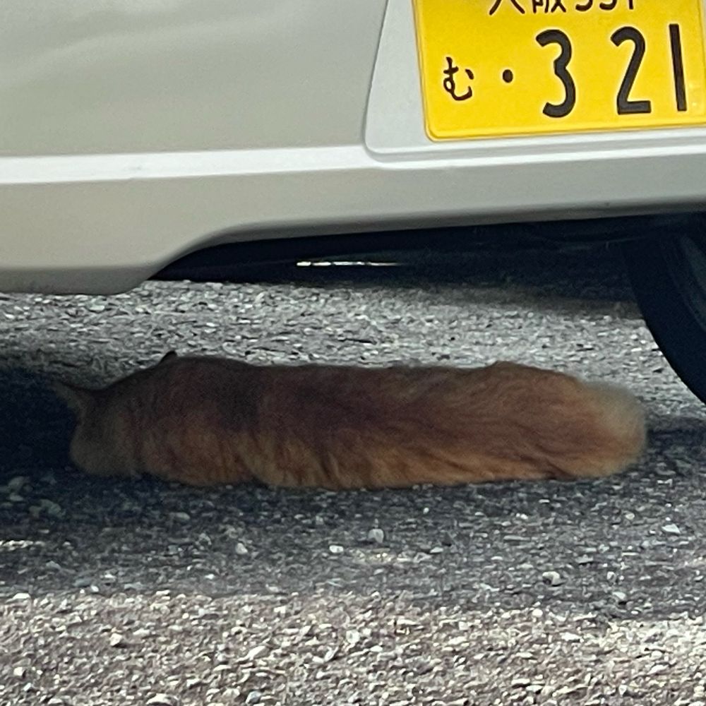 ｴﾑｲﾁｬﾝ#99