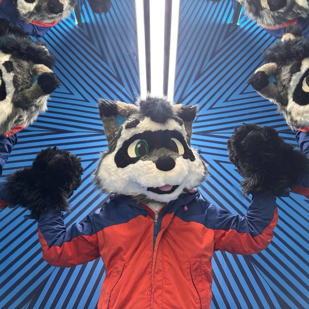 Frankie Raccoon