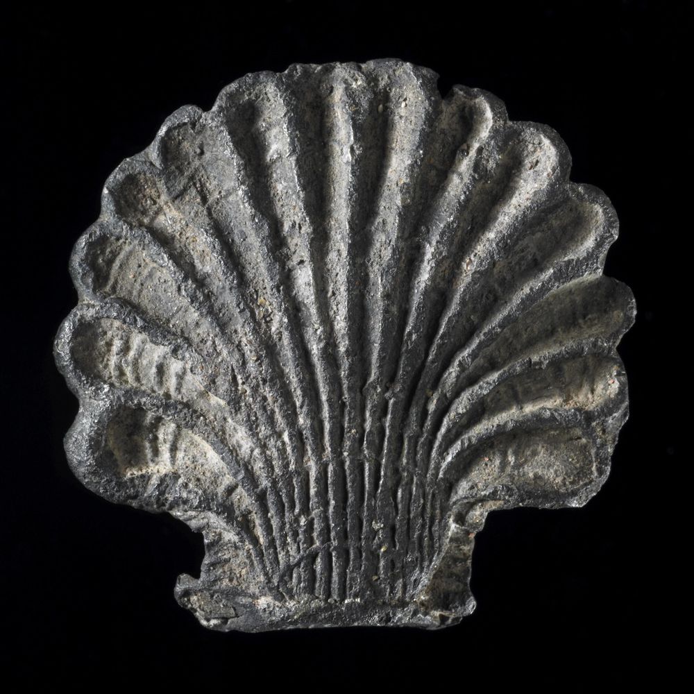 parttimepilgrim.bsky.social