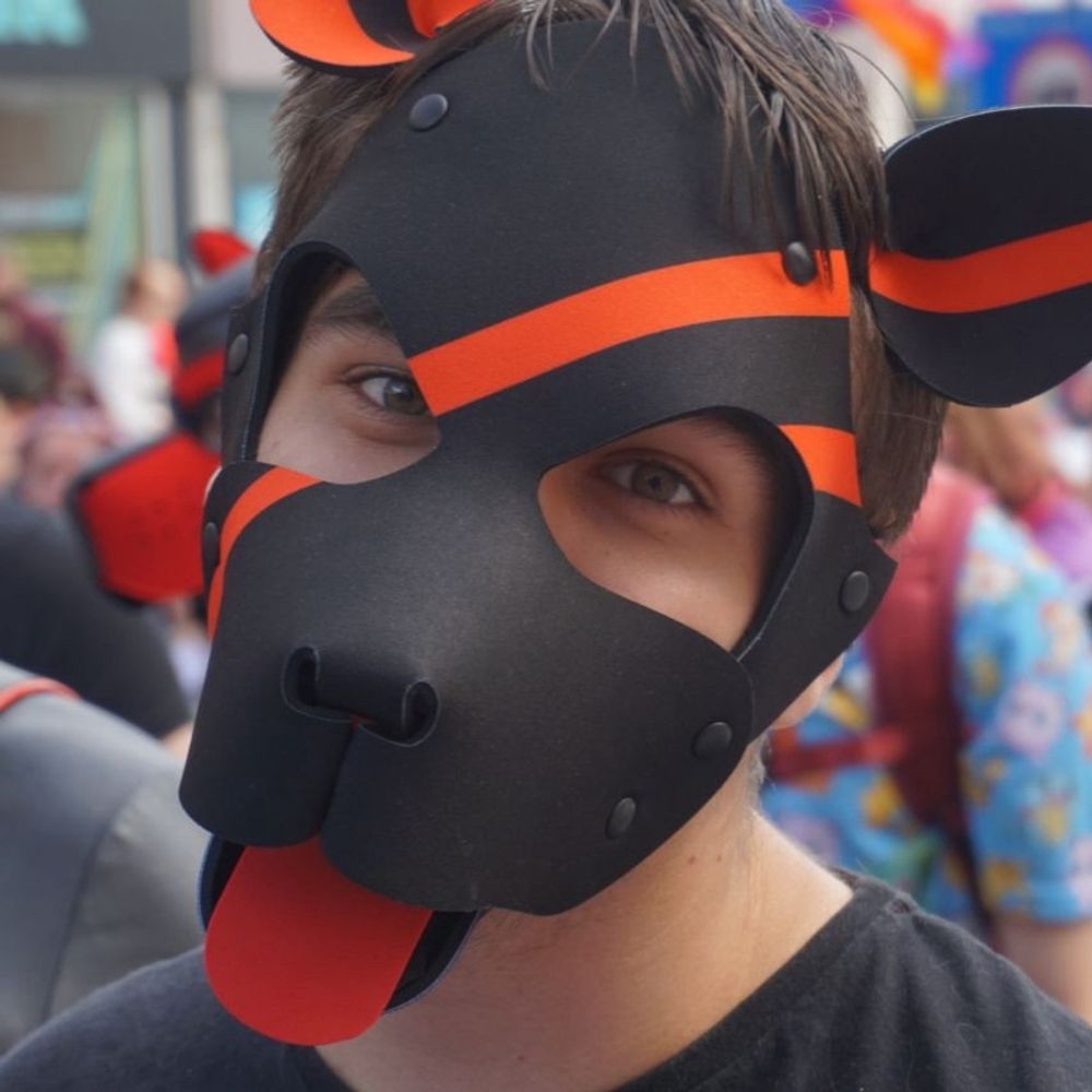 Maddo the puppo