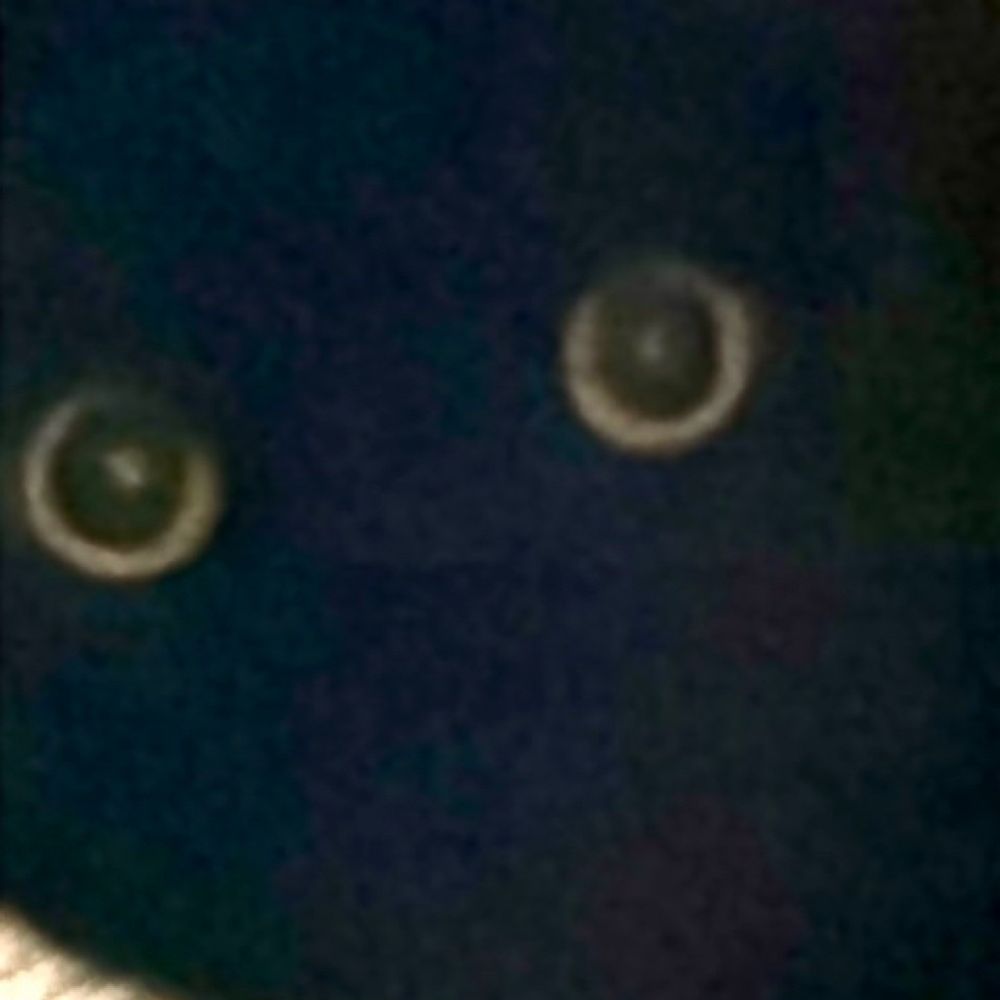 𝐊𝐈𝐑𝐀🐈‍⬛我在天上飛