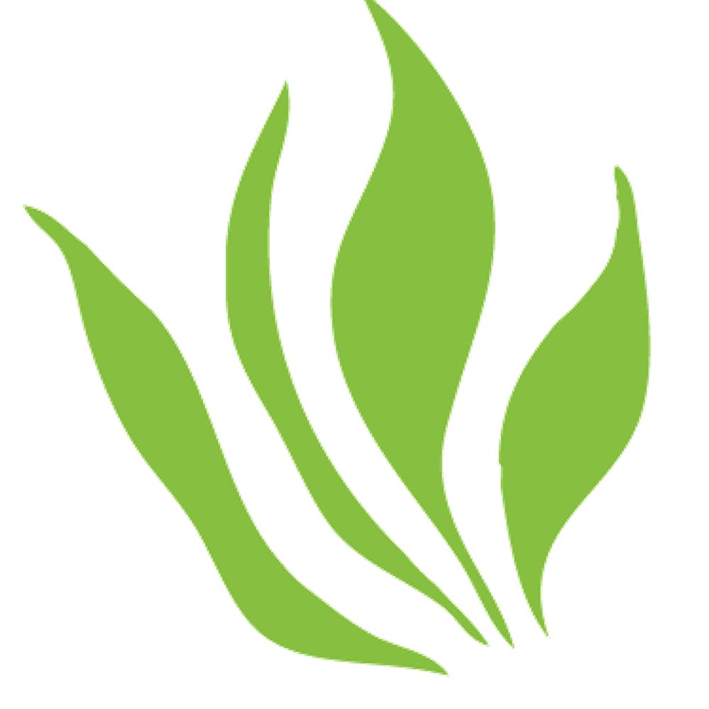 Greenhouse Gas Management Institute 