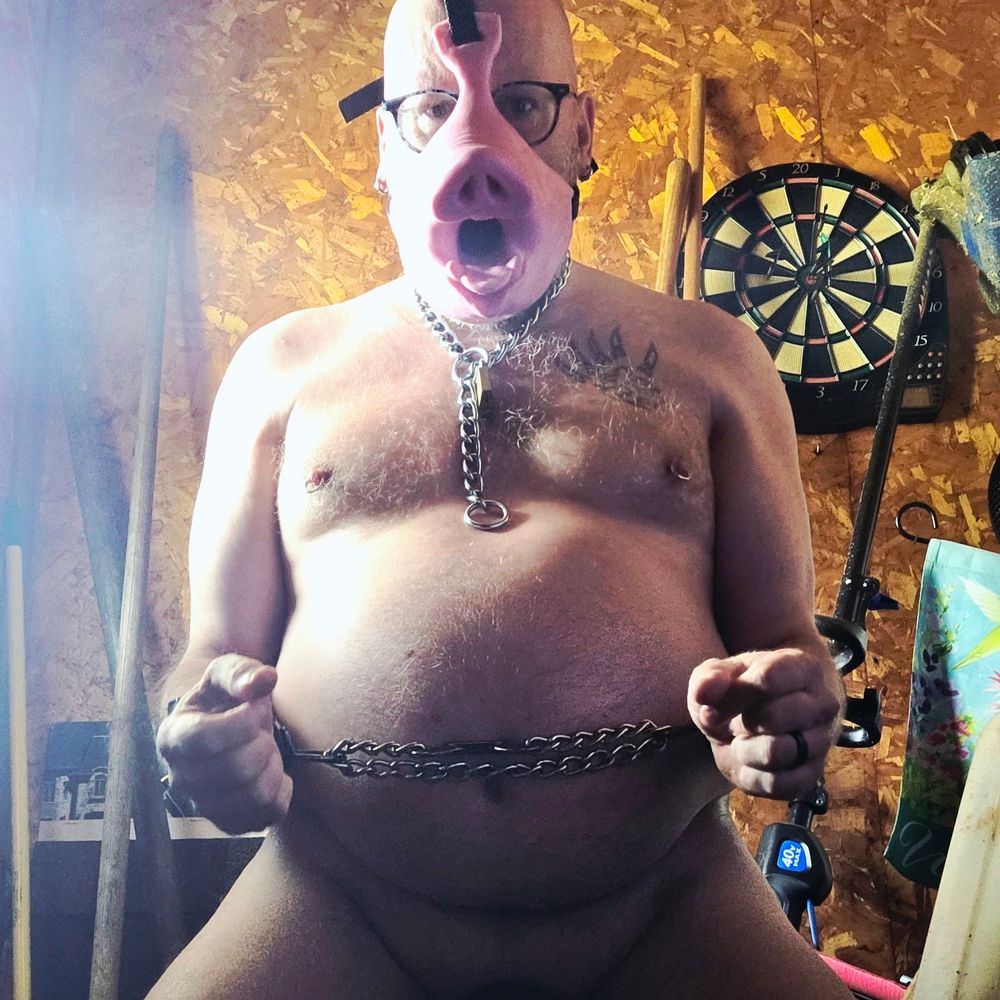MikeyPigBear 🐻🐷🐗