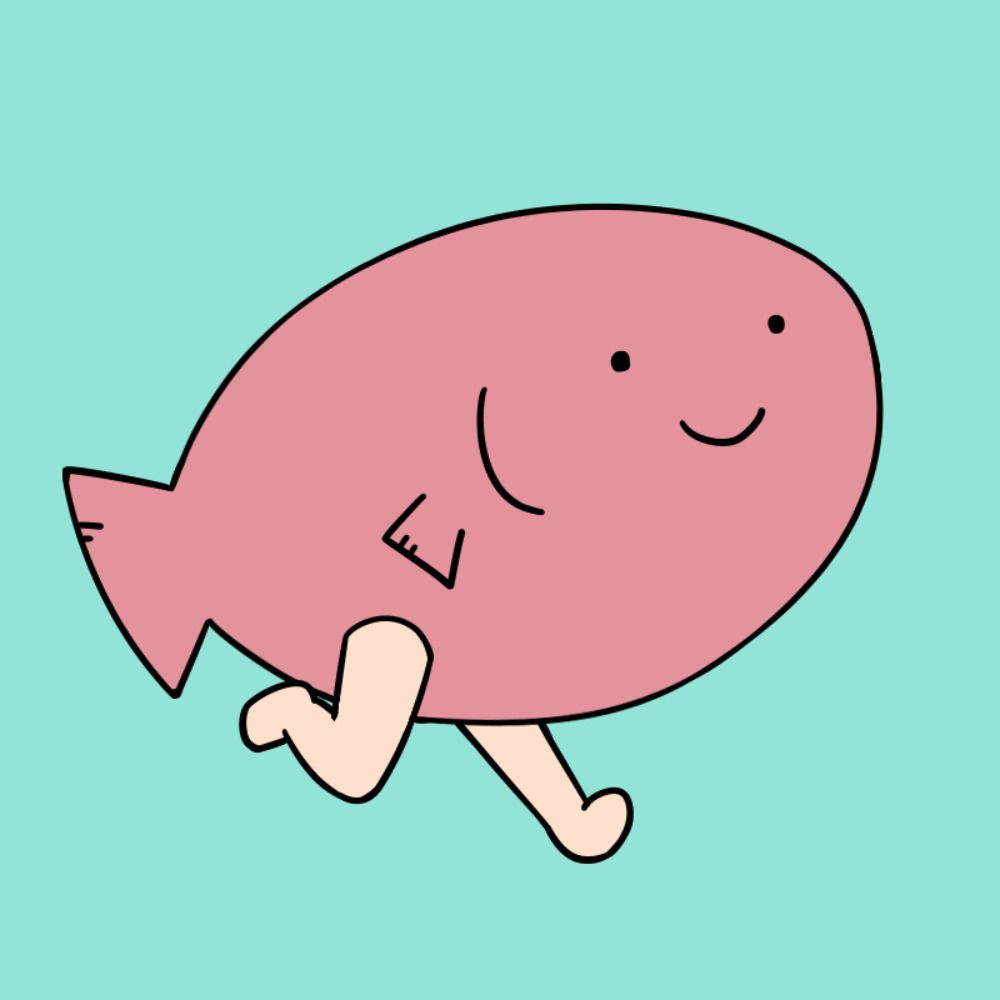 しゃーけぇだよ