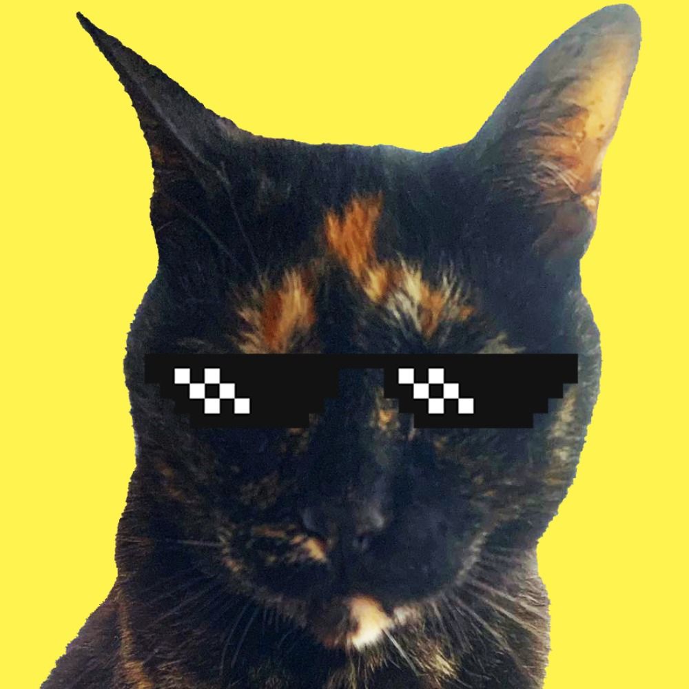 銘菓😺
