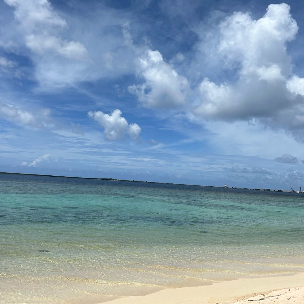 westallen22.bsky.social